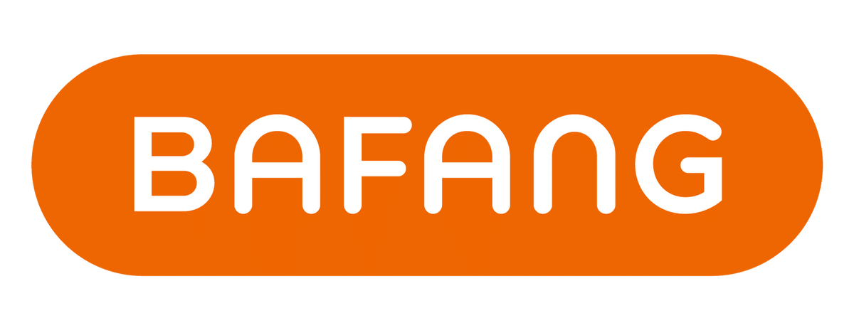 Bafang Fietsaccu's