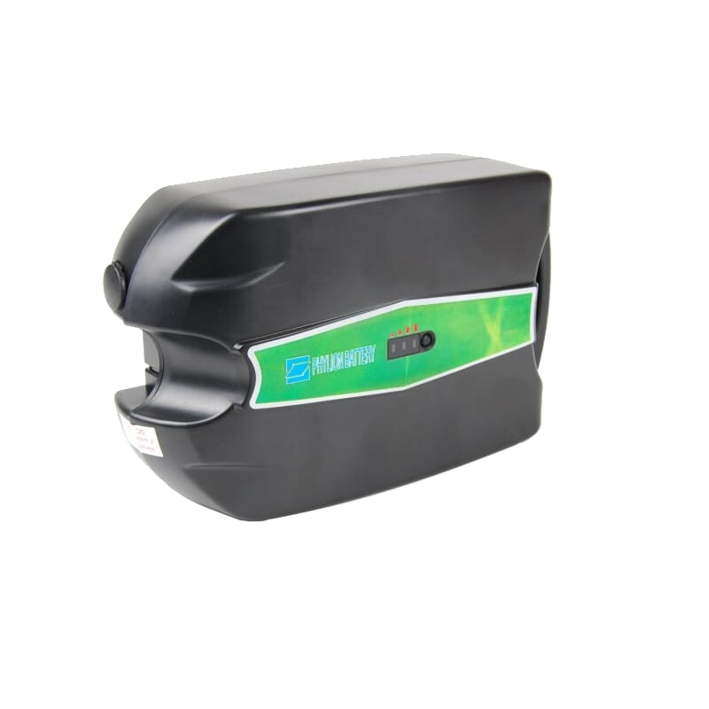 Phylion XH259-10J Bike Battery 24V 12 Ah LittleFrog