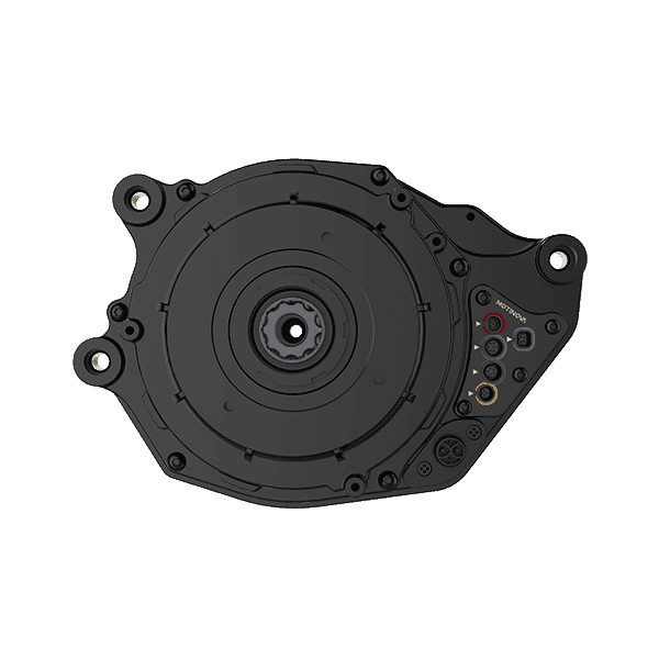 D-Grade Motinova Pegasi Motor 36V 250W 80Nm CUS 125kb-light 6V